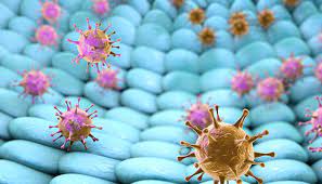 Abdominal Assessment Essay Sample