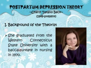 Cheryl Tatano Beck Nursing Theory 