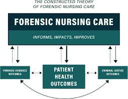 Forensic Evaluations Responses