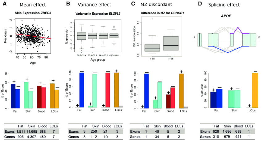 Gene Expression and Aging-Nursing Paper Example