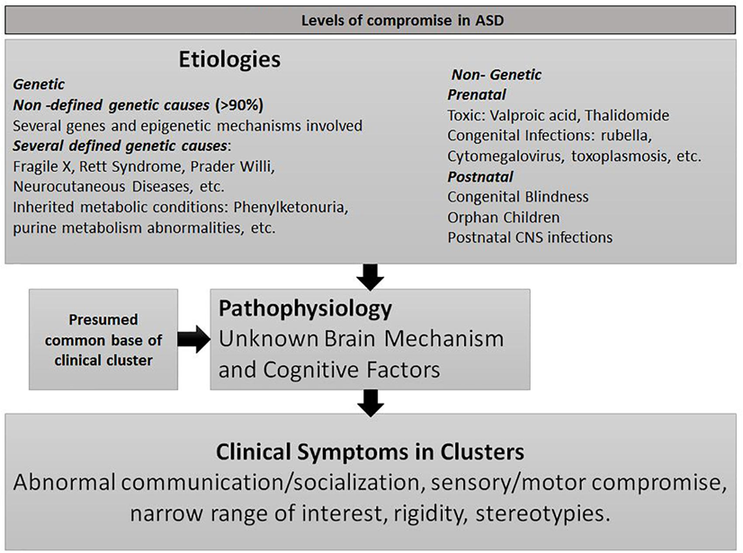 Neurodevelopmental Assignment on Autism Study Guide Forum Comprehensive Nursing Paper Example