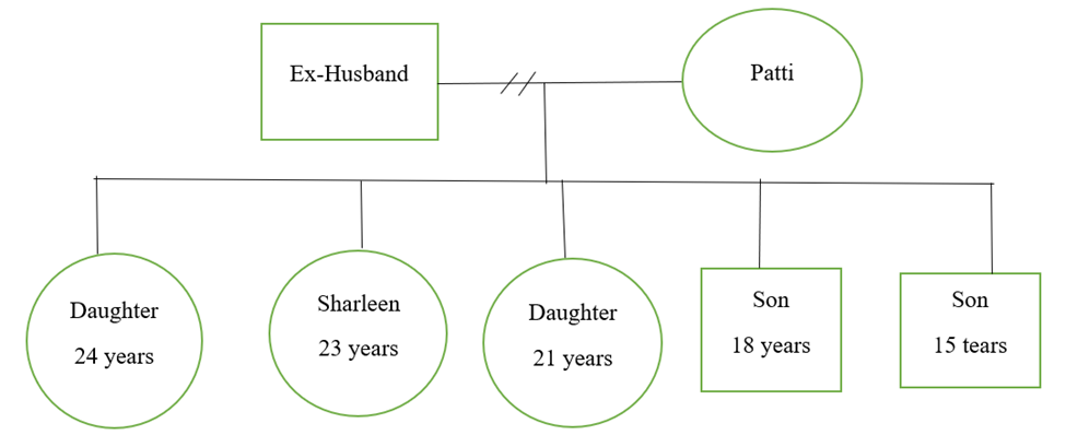 A Cultural Tale First Comprehensive Nursing Essay Example