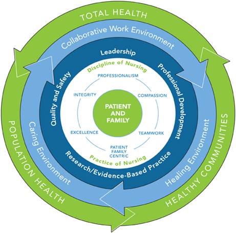 Health Organization Evaluation-Nursing Paper Examples