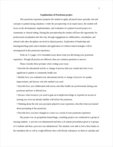 explaination of practicum project – page 2