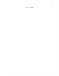 case analysis – page 2
