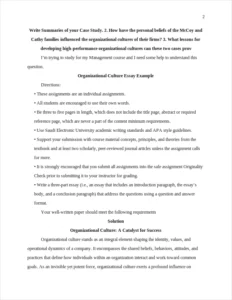 Organizational Culture Essay Example – page 2