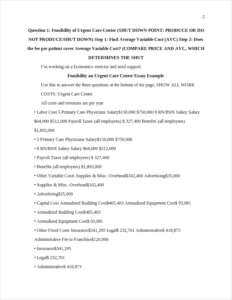 Feasibility an Urgent Care Center Essay Example – page 2