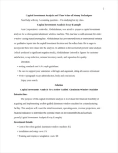 Capital Investment Analysis Essay Example – page 2