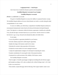 Feasibility Blueprint Assessment Essay Example – page 2