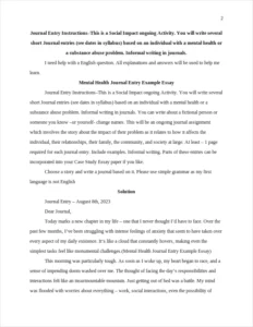 Mental Health Journal Entry Example Essay – page 2