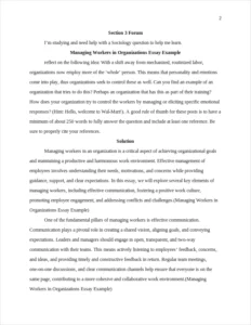 Managing Workers in Organizations Essay Example – page 2