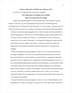 First Impressions of Sociology Essay Example – page 2