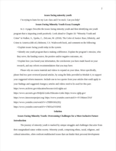Issues Facing Minority Youth Essay Example – page 2