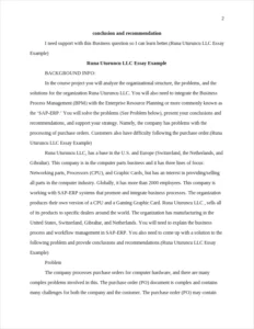 Runa Uturuncu LLC Essay Example – page 2