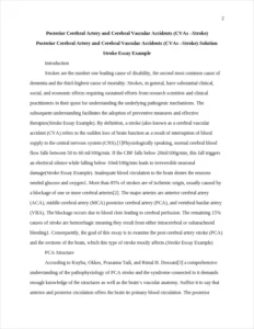 Stroke Essay Example – page 2