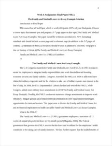 The Family and Medical Leave Act Essay Example – page 2