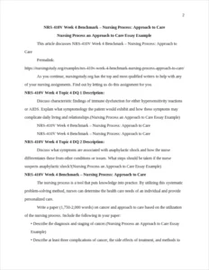 Nursing Process an Approach to Care Essay Example – page 2