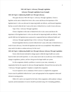 Advocacy Through Legislation Essay Example – page 2