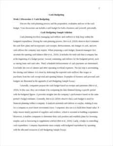 Cash Budgeting Sample Essay – page 2