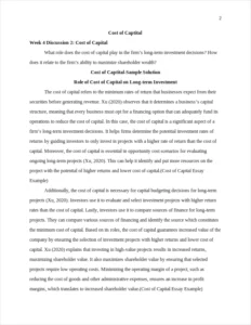 Cost of Capital Essay Example – page 2