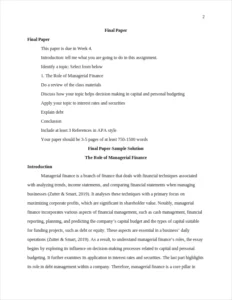 Managerial Finance Roles Essay-Example – page 2