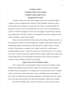 Workplace Violence Essay Example – page 2