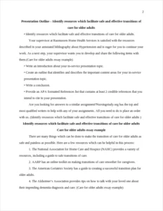 Care for older adults essay example – page 2
