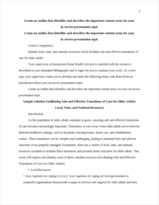 Facilitating Safe and Effective Transitions of Care for Older Adults – page 2