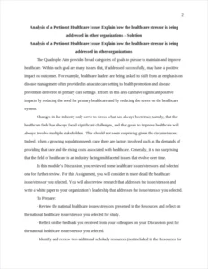 Explain how the healthcare stressor is being addressed in other organizations – page 2