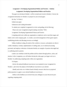 Developing Organizational Policies and Practices – page 2