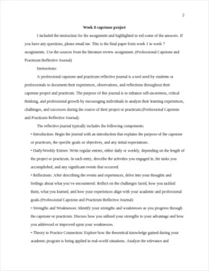 Professional Capstone – page 2