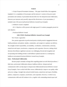 Practicum Reflective-Journal Essay Example – page 2