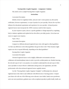 Nursing Roles Graphic Organizer – page 2