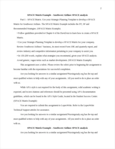 SPACE Matrix Example – page 2