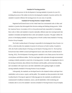 Standard of Nursing Practices Essay-Example – page 2