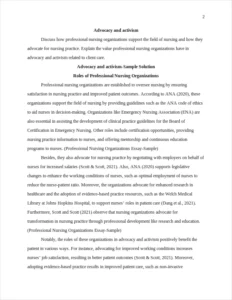 Professional Nursing Organizations Essay-Sample – page 2
