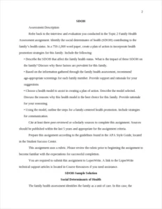 Family Healthcare Essay Example – page 2