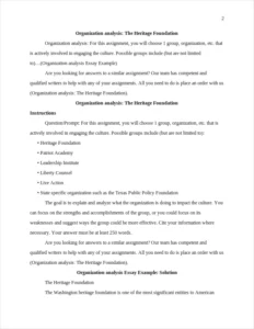 Organization analysis Essay Example – page 2