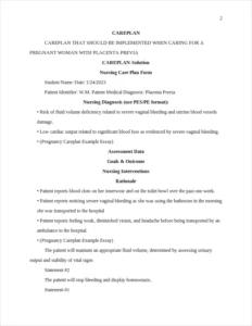 Pregnancy Careplan Example Essay – page 2