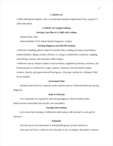 Nursing-CarePlan for Asthmatic-Child Essay-Sample – page 2