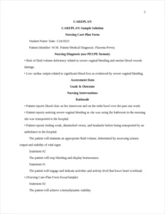 Nursing Care-Plan Form EssaySample – page 2