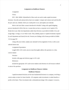 Healthcare Finances Essay Example – page 2