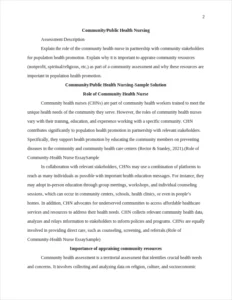Role of Community-Health Nurse EssaySample – page 2