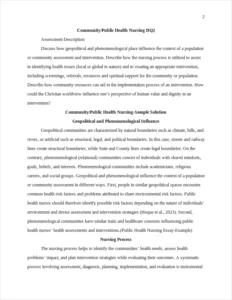 Public Health Nursing Essay-Example – page 2