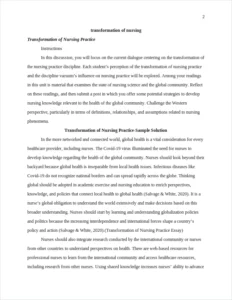 Transformation of Nursing Practice Essay – page 2
