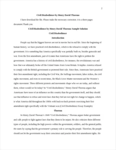 Civil Disobedience Essay Example – page 2