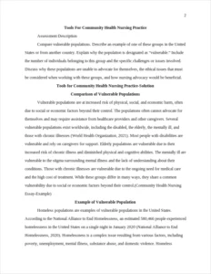 Community Health Nursing Essay-Example – page 2