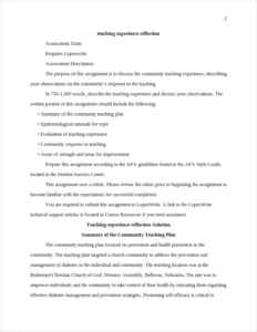 Community-Teaching Experience Reflection EssaySample – page 2