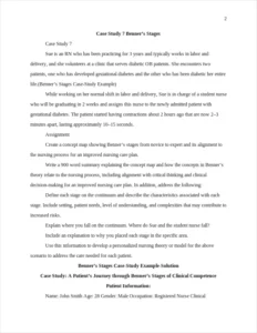 Benner's Stages Case-Study Example – page 2