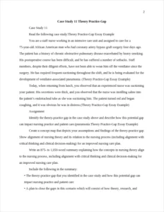 Theory Practice-Gap Essay Example – page 2